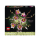 Klocki LEGO® LEGO BOTANICALS 11510 Gałązki magnolii